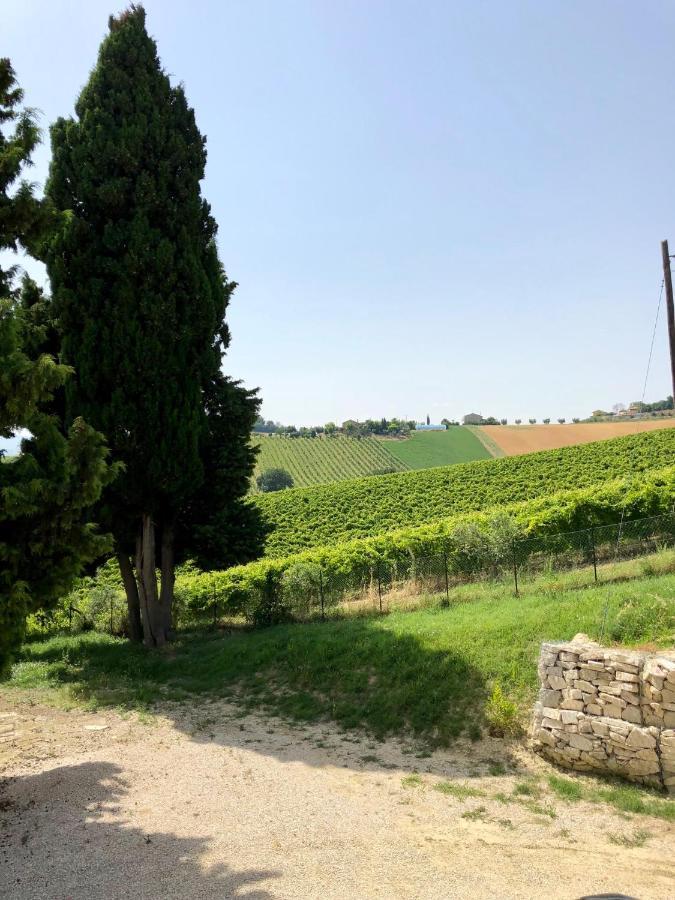 B&B Santa Caterina Acquaviva Picena Kültér fotó