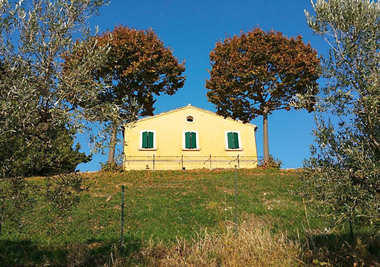 B&B Santa Caterina Acquaviva Picena Szoba fotó
