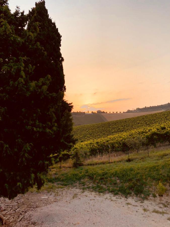 B&B Santa Caterina Acquaviva Picena Kültér fotó