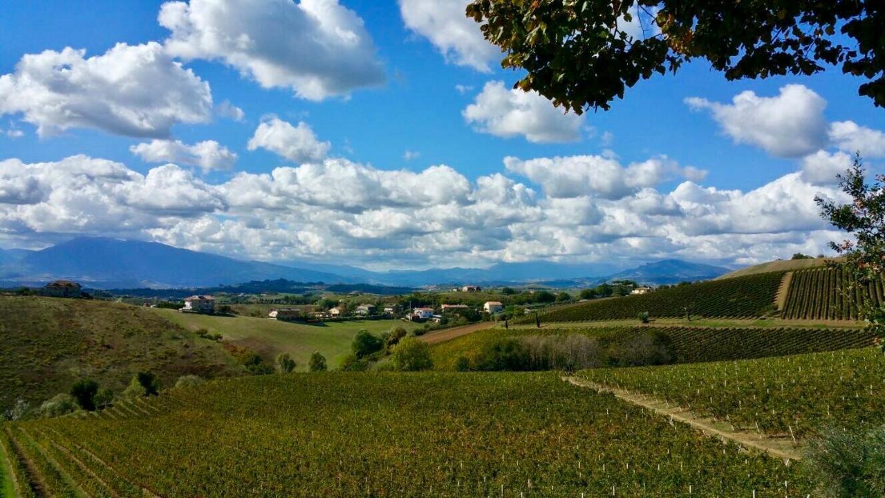B&B Santa Caterina Acquaviva Picena Kültér fotó
