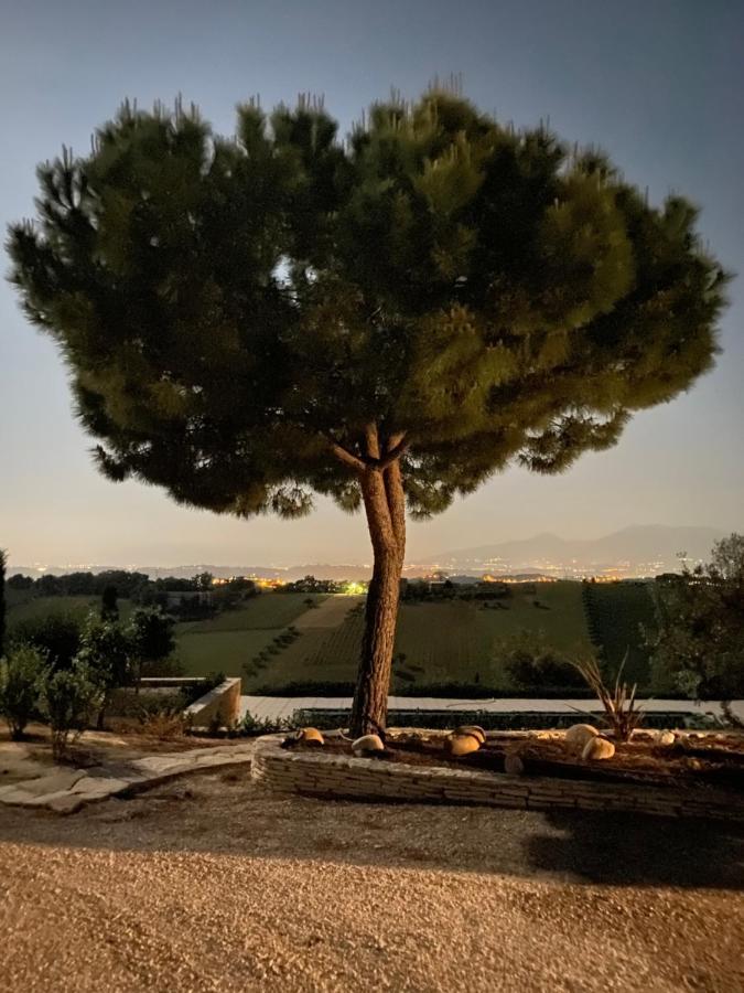 B&B Santa Caterina Acquaviva Picena Kültér fotó