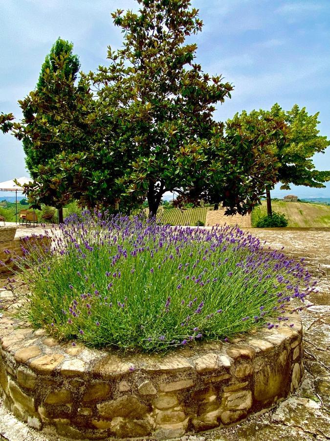 B&B Santa Caterina Acquaviva Picena Kültér fotó