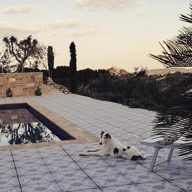B&B Santa Caterina Acquaviva Picena Kültér fotó